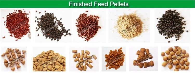 Chinese Tilapia Salmon Fish Pet Food Feed Making Machinery (WSP)