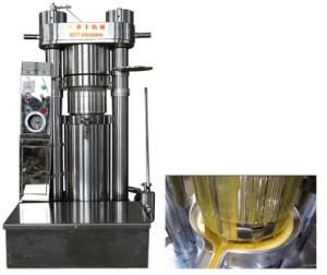 Korean Style Hydraulic Oil Press for Seeds/Fruit Oil Making