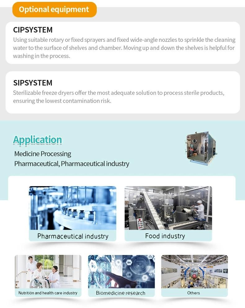 100m2 Fruit Vacuum Freeze Drying Machine Lyophilizer for Tremella Processing Industry