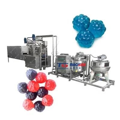Small Fully Automatic Gummy Bear Candy Making Machine Vitamin Gummy Bears Making Machine ...