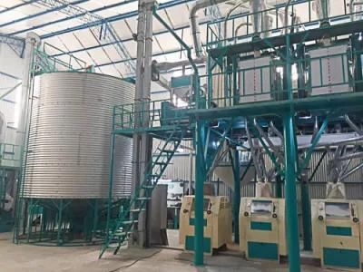 50t/24h Wheat Flour Milling Machine in Argentina