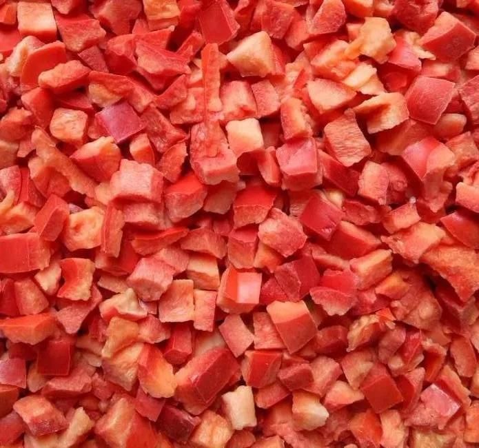 Lyophilization Cool Freezing Lyophilizer Food Fruit Vacuum Freeze Dryer