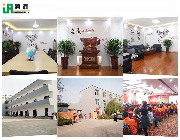 High Capacity Double-Screw Breakfast Cereal Corn Flakes Production Line