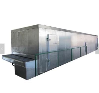 High Quality Vegetable Fruit Frozen Machine