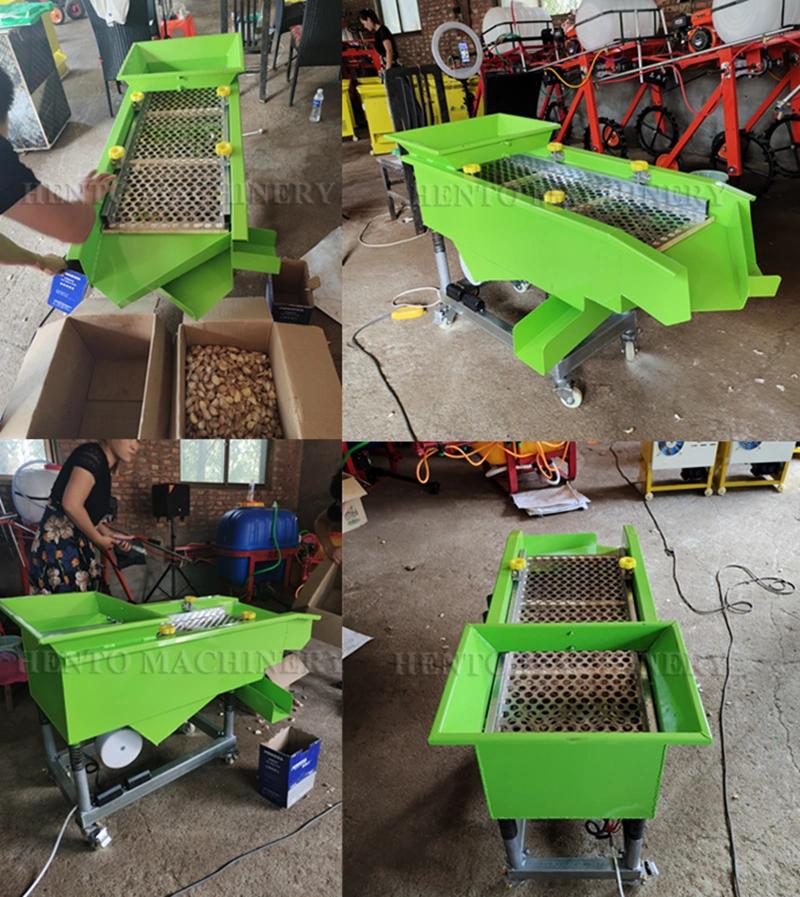Garlic Vibration Screening Machine / Garlic Cloves Grader