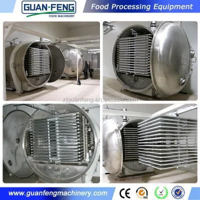 200m2 Vacuum Freeze Dryer Lyophilizer for Industrial Processing