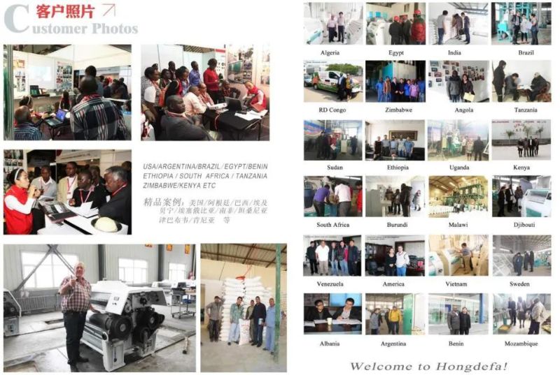 Congo Maize Flour Milling Machine for Super White Semoule and Farina