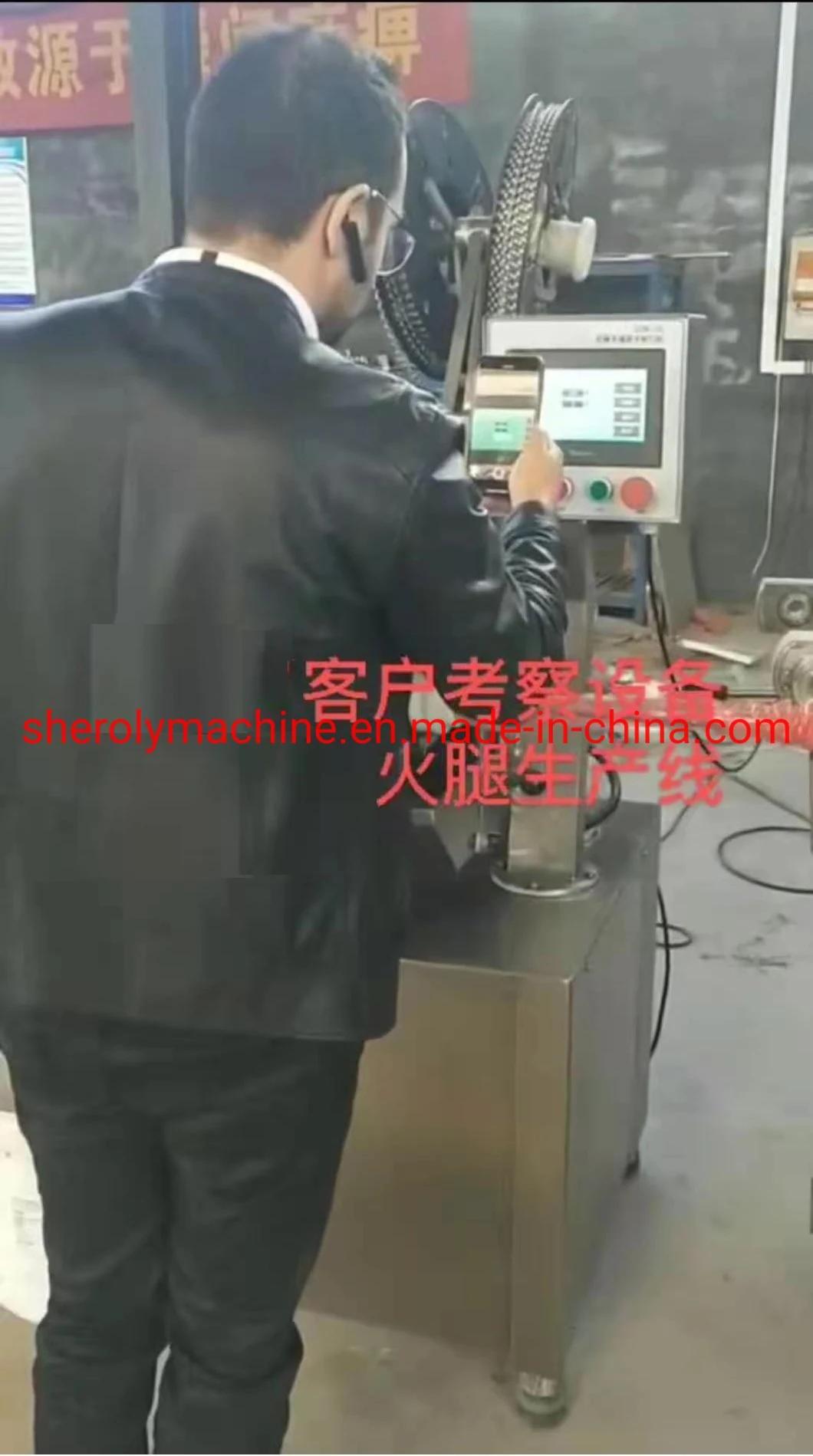 Sausage Meat Stuffer Filler, Quantitative Sausage Filling Machine, Qd-II Sausage Making Machine