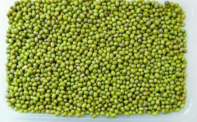 Beans Garbanzo Lentil Pea Splitting Peeling Machine Flour Line Garbanzo Hummus Milling Pakistan