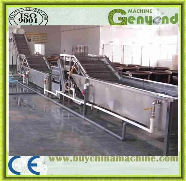 Full Stainless Steel Fruit Washing Machine