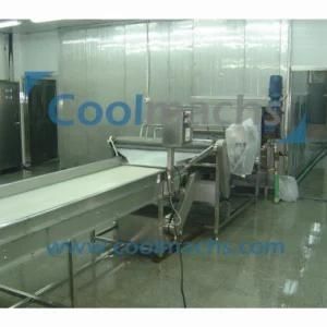 Fish Scallop IQF Spiral Quick Freezer Machine