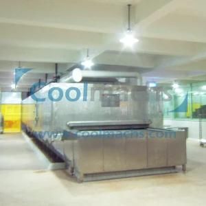 Tunnel Quick Freezing Machine/Air Blast Tunnel Quick Freezer for Seafood