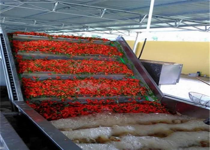Keysong High Quality Fruit Vegetable Air Bubble Washing Machine