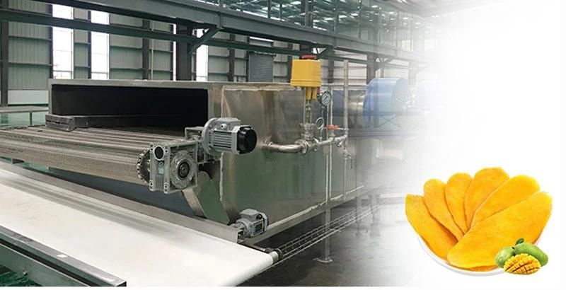 Low Price Belt Tunnel Drying Machine for Fruits and Vegetables