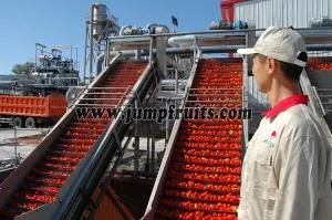 Tomato Paste Production Line