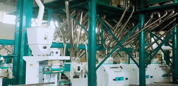 100t Wheat Flour Mill Machine Flour Mill Plant for Semolina Farina Maida