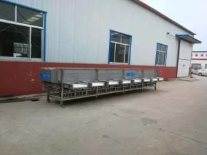 Pineapple Sorting Machine Dragon Fruit Pineapple Grading Machine