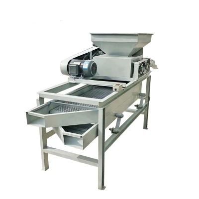 Automatic Walnut and Almond Shelling Cracking Machine