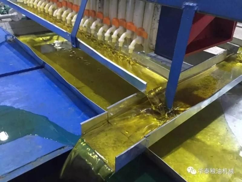Huatai Mustard Seed Oil Press Machine Making Oil Machinery