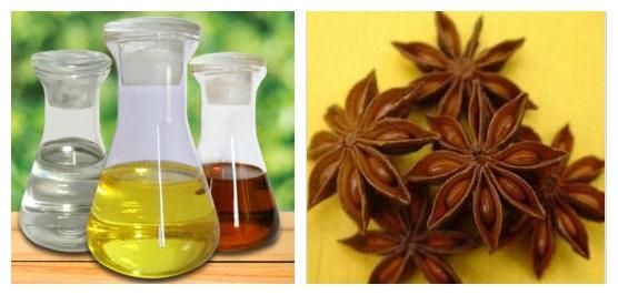 Herbal Extraction Plant for Natural Pigment Flavor Perfume Aromatic Oil