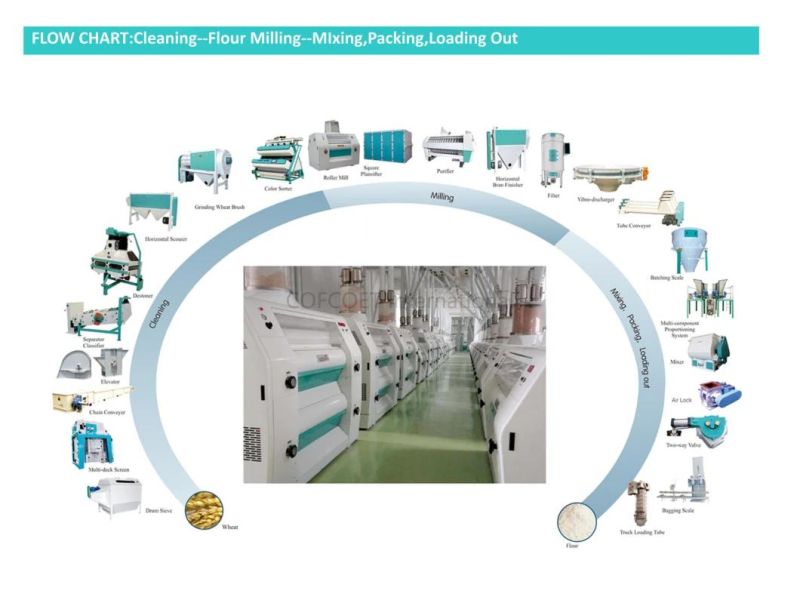 Global 500 Cofcoet Mmr Maize, Rice, Flour Mill