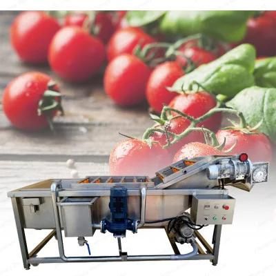 Vegetable Line Washing Fruit Washer Cleaning Processing Machine