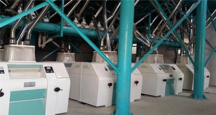 Corn Maize Wheat Flour Machine Mill Milling Plant Factory Processing Line