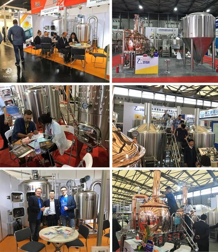 500L Large Brewing Equipment Beer Manufacturing Plant Beer Production Line Brewpub Beer Brewery Restaurant