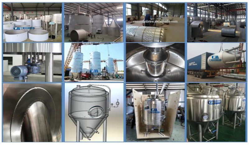 Cassman Customized 304 Stainless Steel Brewery System Fermentation Equipment Beer Making Line