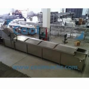 Vegetable Chain Blancher/Vegetable Chain Cooker