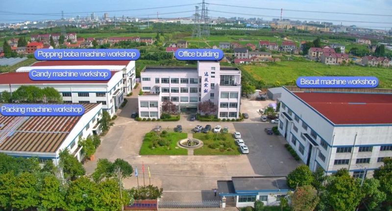 Vitamin Gummy Bear Candy Making Machinery Soft Gel Gummy Candy Production Line