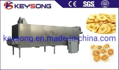 High Capacity Extrusion Food Processing Drying Machine Food Dryer