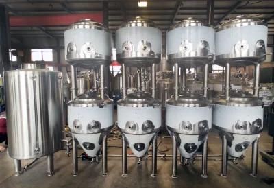 200L Beer Pub Beer Restaurant Equipment
