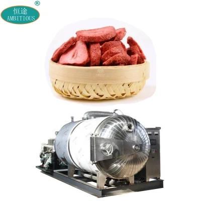 Freeze Dried Fruit Freezing Machine Dried Strawberry Vacuum Freeze Dryer