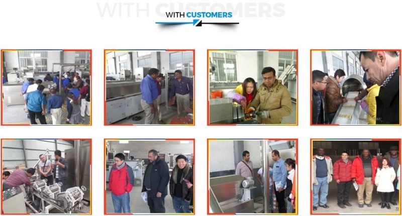 Automatic Dog Food Extruder/Cat Food Processing Machines/Extruder