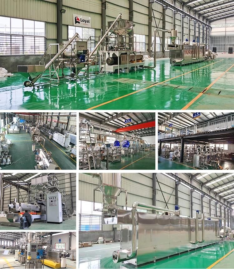 Vegetable Meat Soybean Protein Making Machine Soy Protein Isolate Production Line