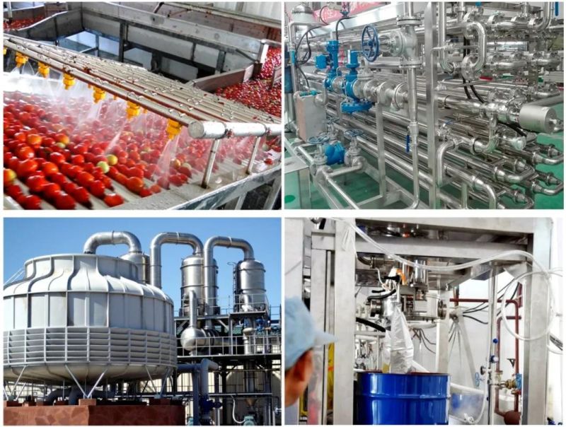 Tomato Ketchup Processing Concentrated Filling Plant Making Production Plant Paste Production Line