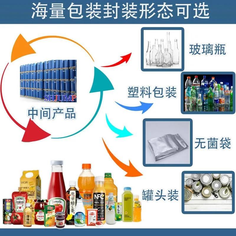 Mango Pulp Sterilizer and Aseptic Filler