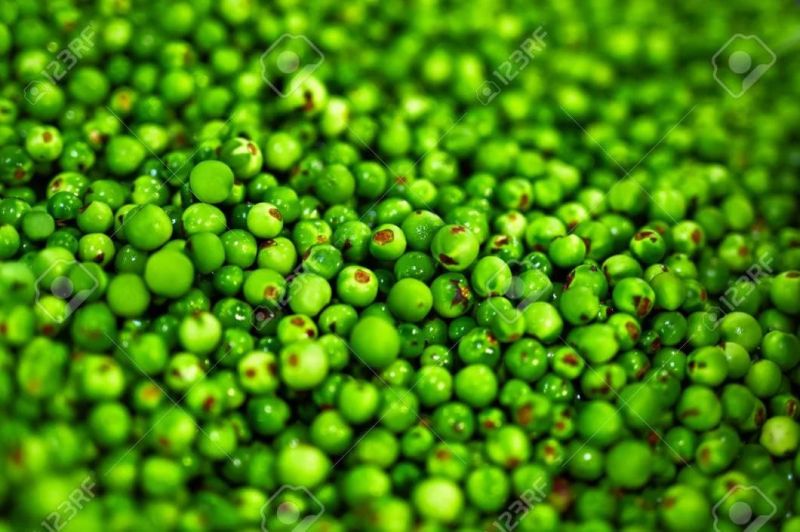 Bubble Washer Green Vegetables Cleaning Machine Vegetable Washing Sink