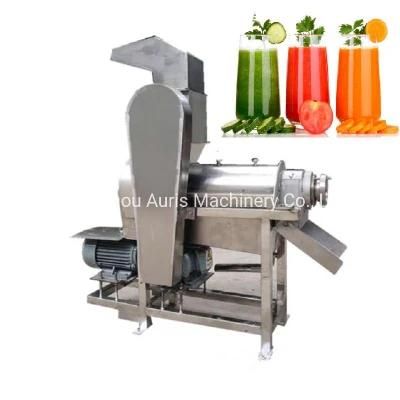 Full Automatical Ginger Apple Mango Juice Making Machine