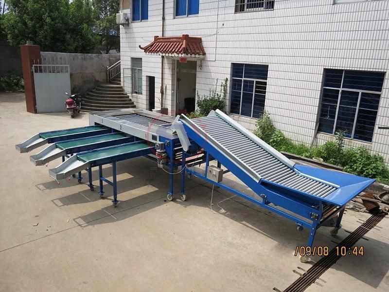 3-7 Grades Automatic Fruit&Vegetable Sorting Grading Machine Roller Type