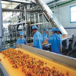 Peach, Apricot, Plum Concentrated Juice Processing Line