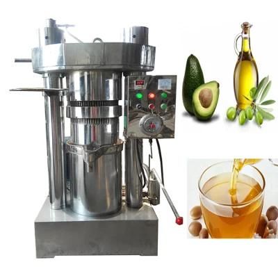 Pine Nut Moringa Sesame Peanut Avocado Small Oil Press Machine