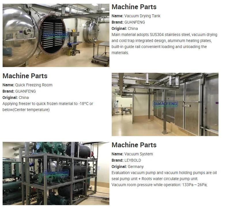 Vacuum Freeze Drying Equipment Vegetables Lyophilizer for Food Processing Line
