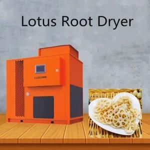 China Wholesale Lotus Root Dryer Production Line Dehydrator Cutting Machine