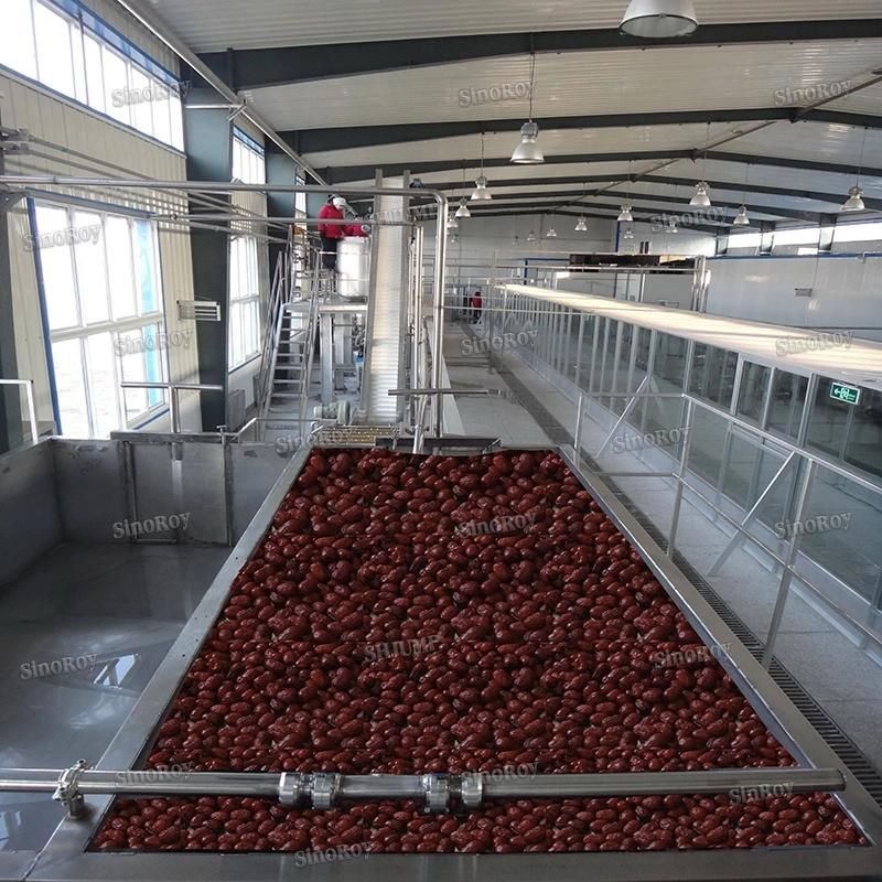 1000kg Red Dates Juice Red Dates Paste Processing Line