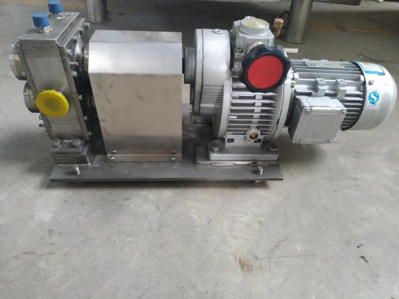 China Factory High Productivity Chocolate Delivering Pump Model 25