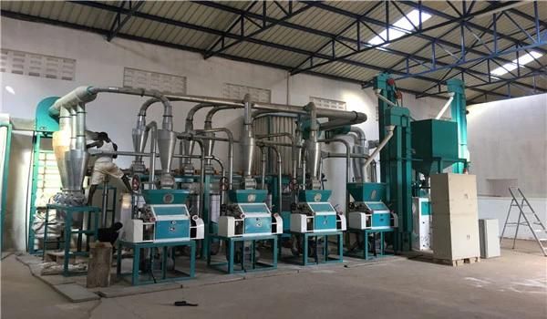 Uganda Rwanda Burundi 20t Corn Grinding Mill Africa Market