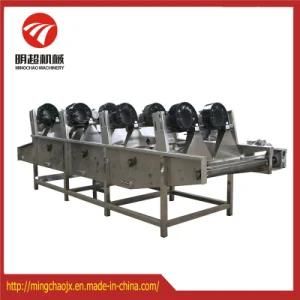 Continous Fruit Air Drying Machine Vegetable Blowing Machine