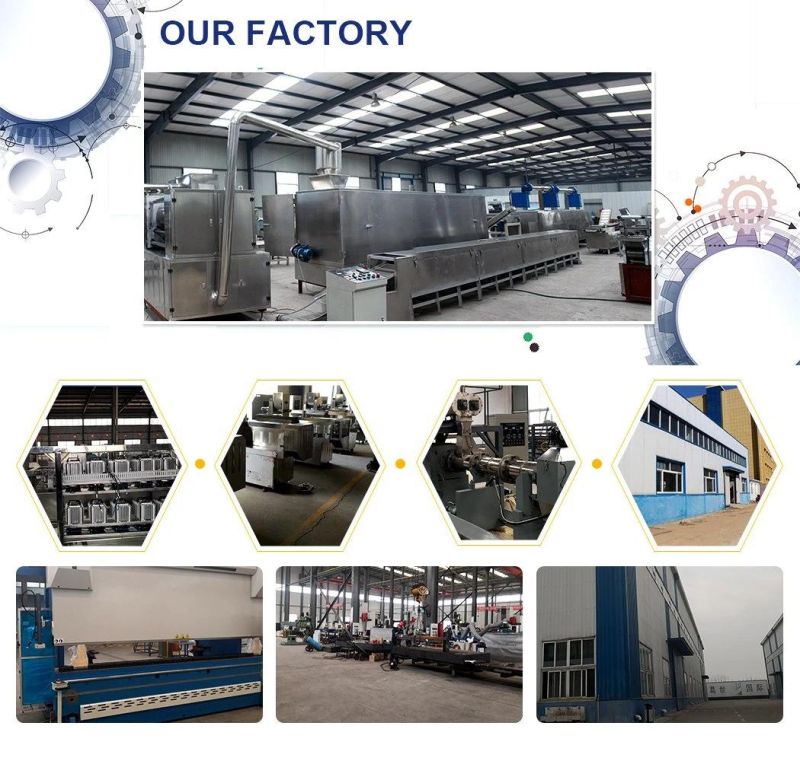 Factory Price Full Automatic Fish Feed Extruder Machine Pet Food Extruder Dry Dog Food Making Machine for Sale
